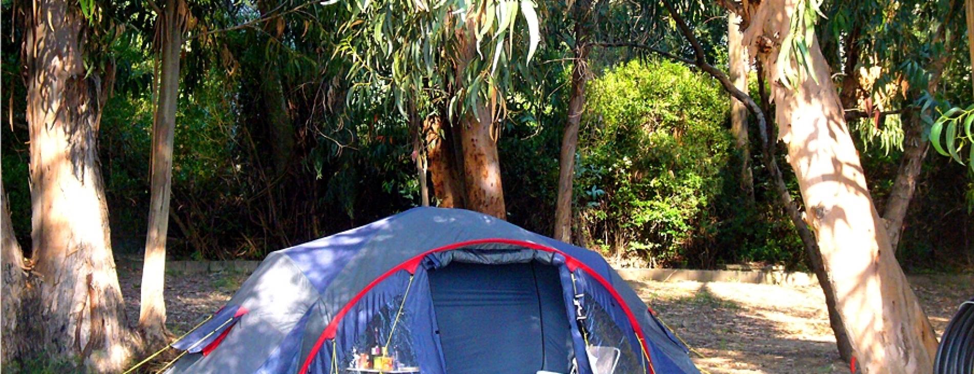 Camping Les Eucalyptus 