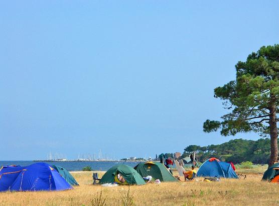 Le camping Les Eucalyptus